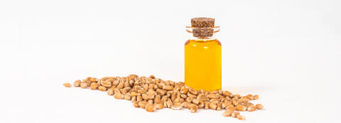 Olio di germe di grano (estratto CO₂), bio – olio arancione in bottiglia di vetro con chicchi di grano