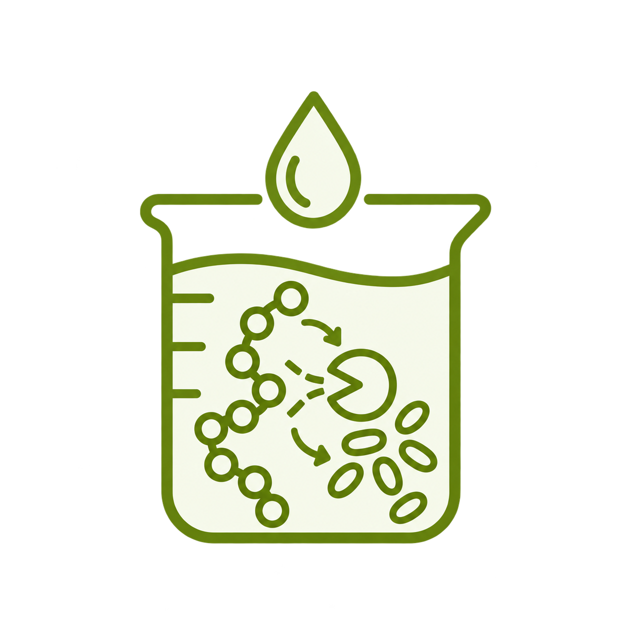 Hydrolyse enzymatique de protéines végétales
