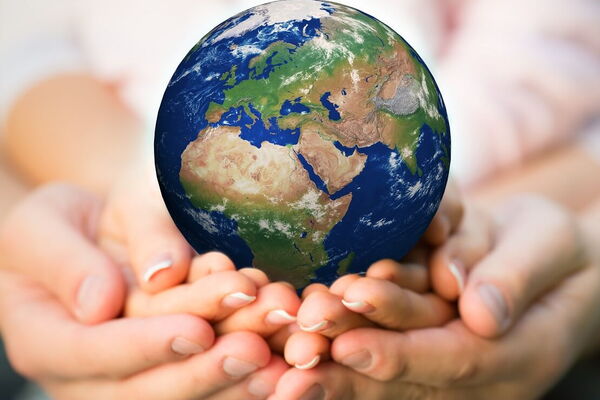 Commitment to the organic sector