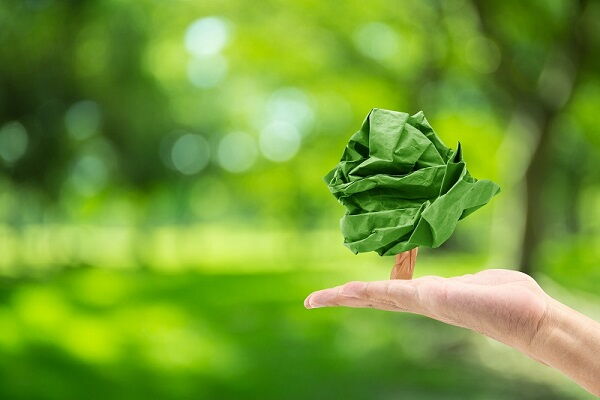 Materias primas vegetales de AOT